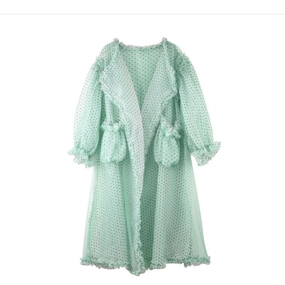 Mint Duster - Picture 2 of 3